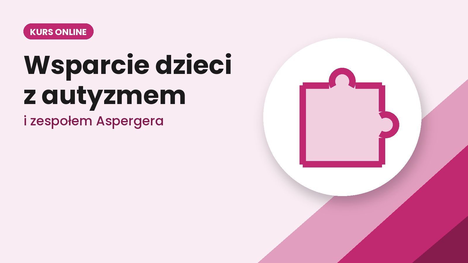 Multiobszarowe wsparcie dzieci z autyzmem i zespołem Aspergera