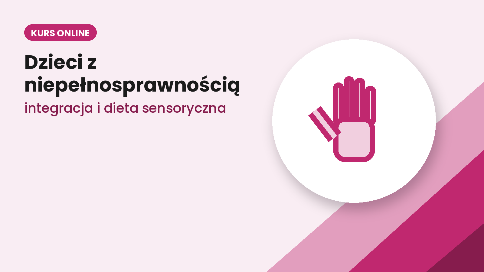 Praca z dziećmi do lat 3 z niepełnosprawnością z integracją sensoryczną oraz dietą sensoryczną