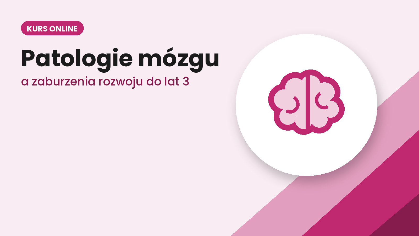 Patologie mózgu jako czynnik zaburzeń rozwoju dzieci do lat 3